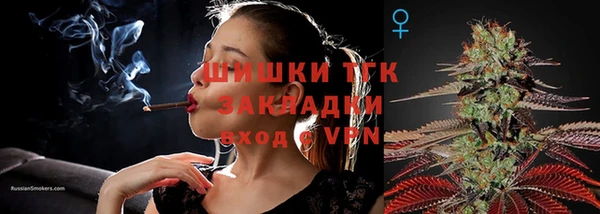 тгк Горнозаводск