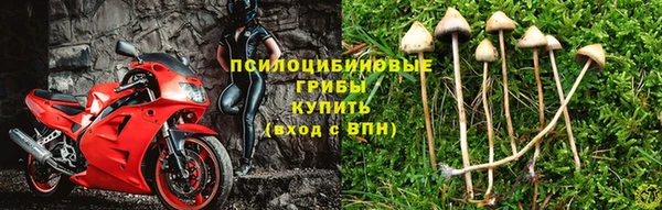 мдма Горняк