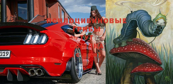 тгк Горнозаводск