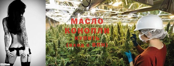 тгк Горнозаводск