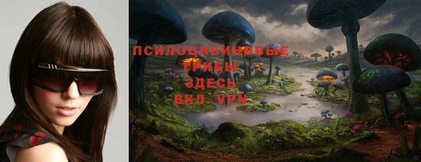 мдма Горняк