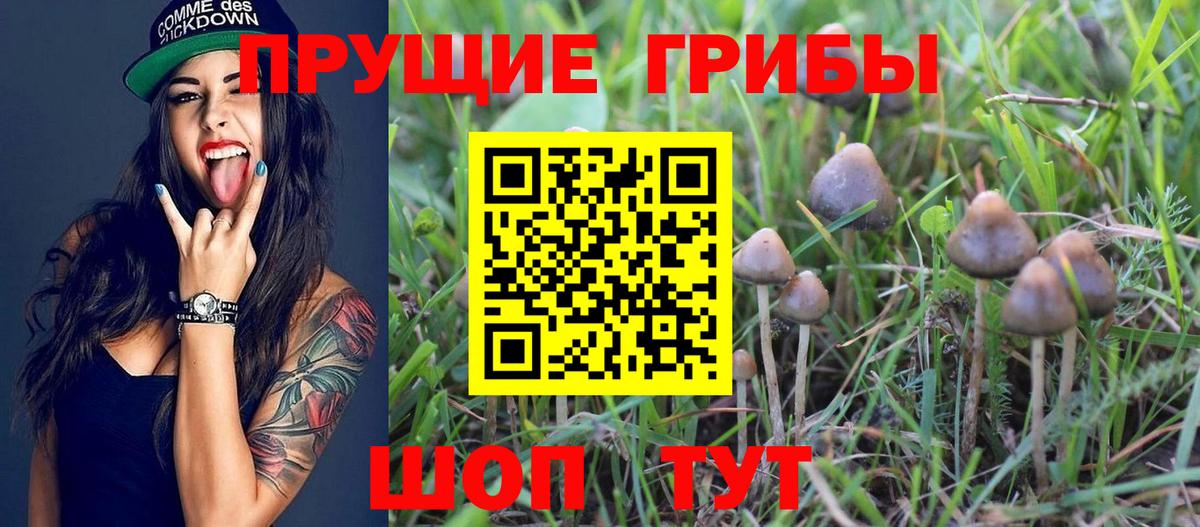 Нурлат  Псилоцибиновые грибы GOLDEN TEACHER  Галлюциногенные грибы GOLDEN TEACHER  Вход с VPN 