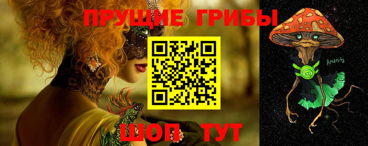 Псилоцибиновые грибы Cubensis Нурлат