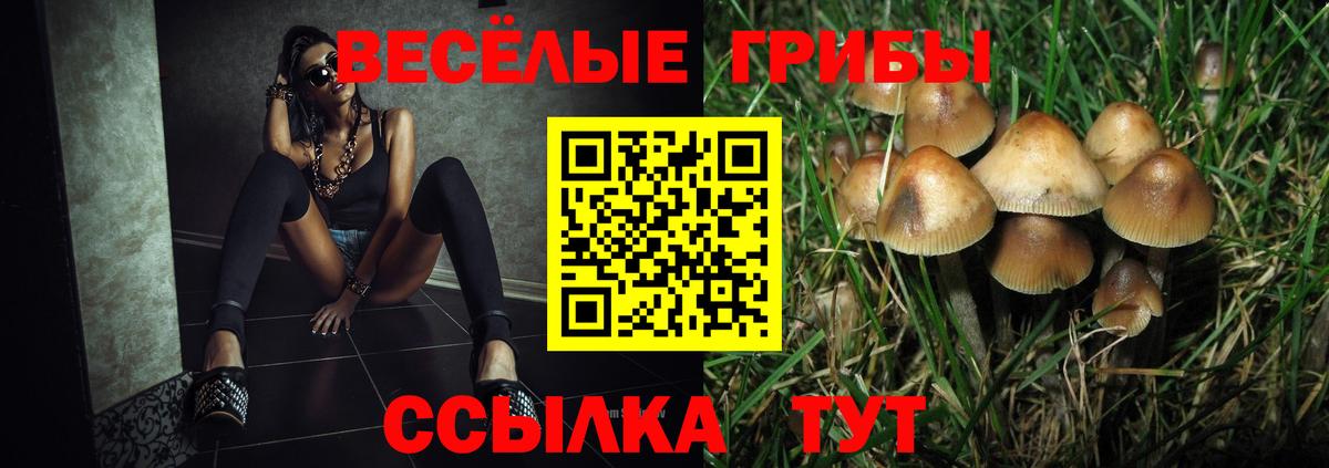 Галлюциногенные грибы Magic Shrooms Нурлат